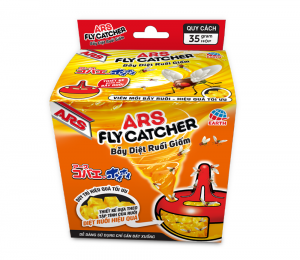 Fly Catcher_F